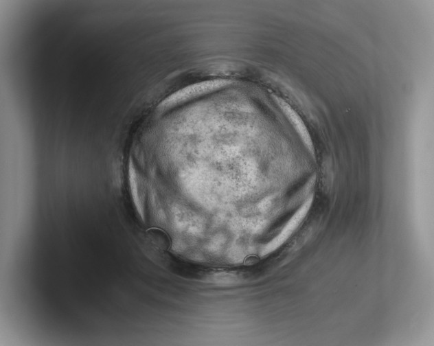 X0000101710413200807311456