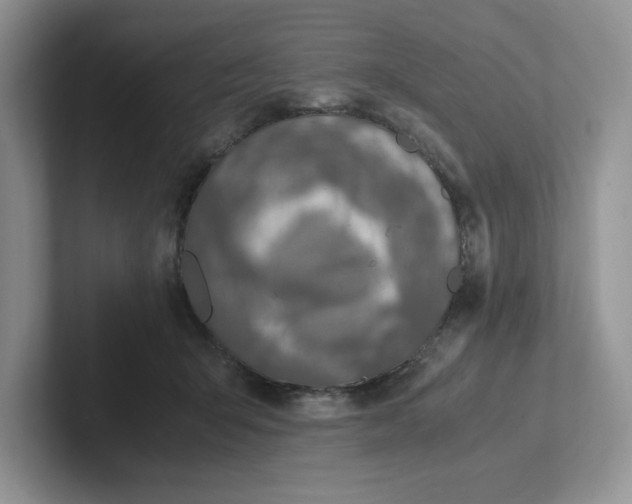 X0000101710415200807311456