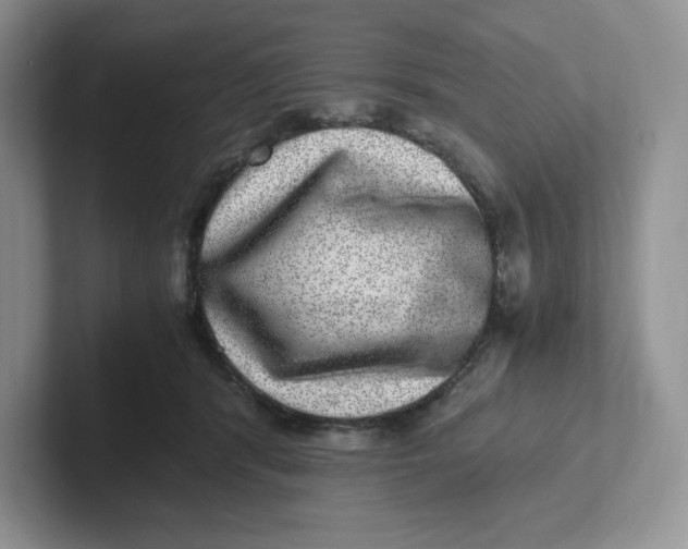 X0000101710416200807311456