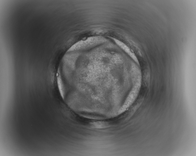 X0000101710417200807311456