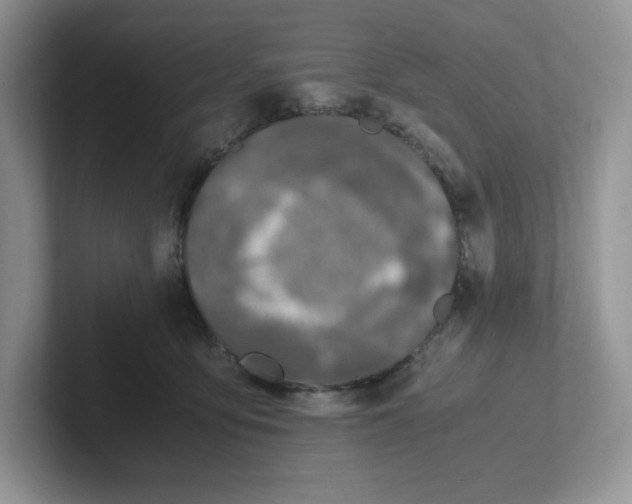 X0000101710419200807311456