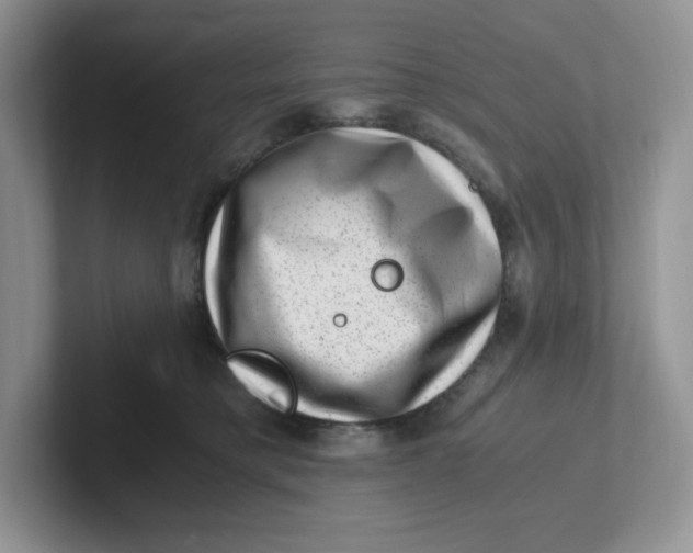 X0000101710421200807311456