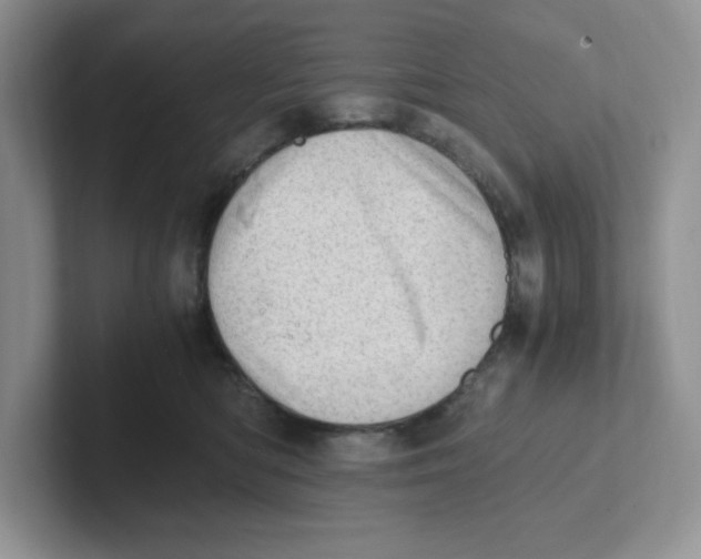 X0000101710422200807311456