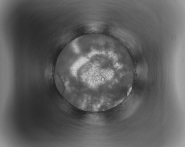 X0000101710423200807311455