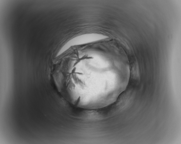 X0000101710424200807311455