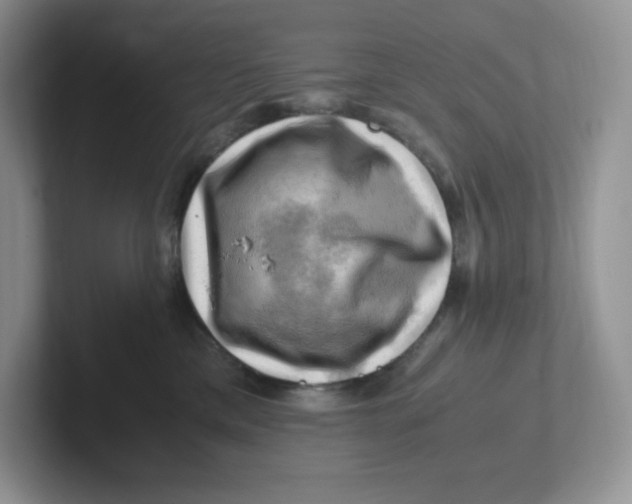 X0000101710425200807311455