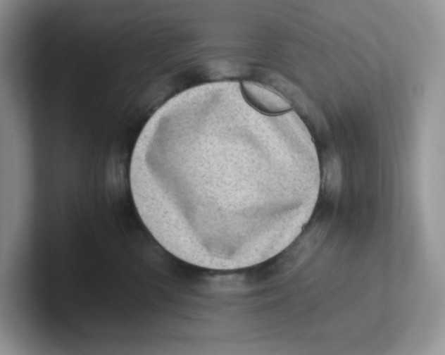 X0000101710426200807311455