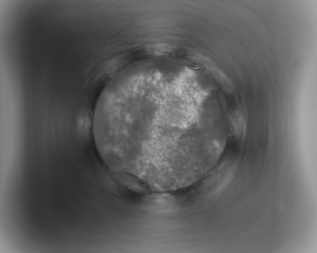 X0000101710427200807311455