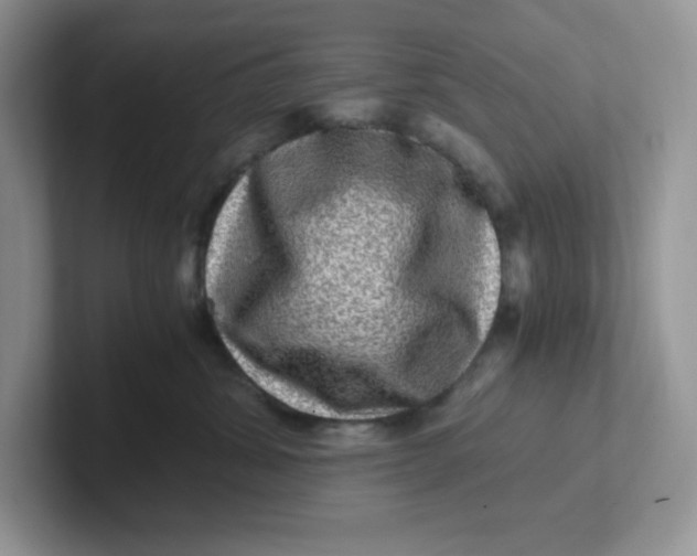 X0000101710428200807311455