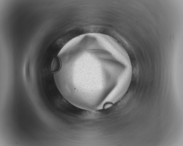 X0000101710429200807311455