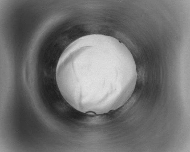 X0000101710430200807311455