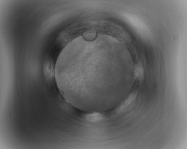 X0000101710431200807311455