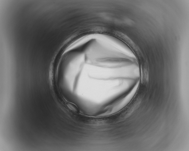 X0000101710435200807311455