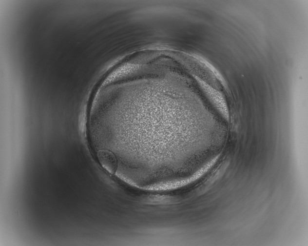 X0000101710437200807311455