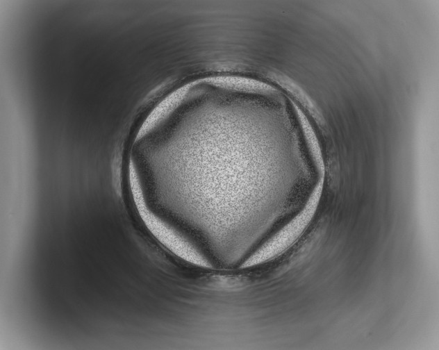 X0000101710442200807311455