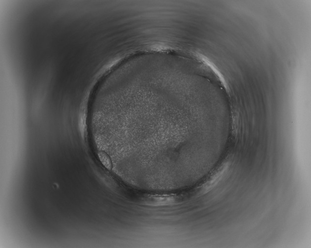 X0000101710443200807311455