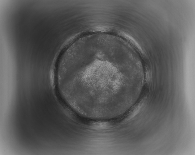 X0000101710444200807311455