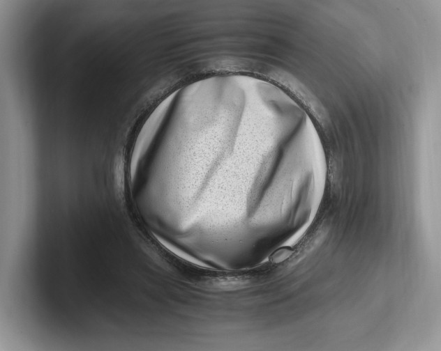 X0000101710445200807311455