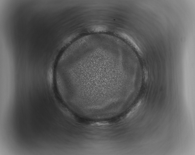 X0000101710447200807311455