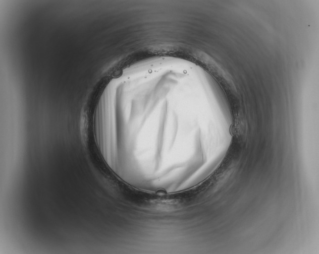 X0000101710448200807311455