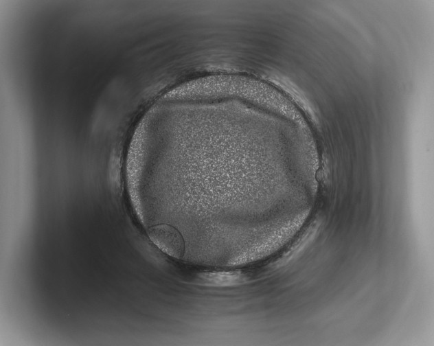 X0000101710449200807311455