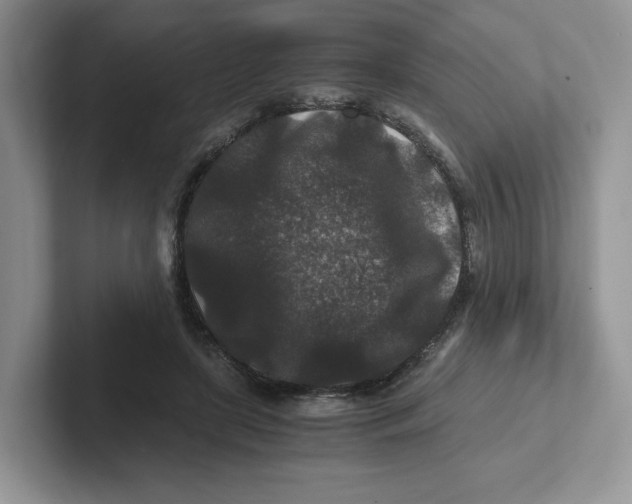 X0000101710451200807311455