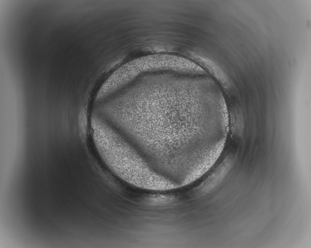 X0000101710453200807311455