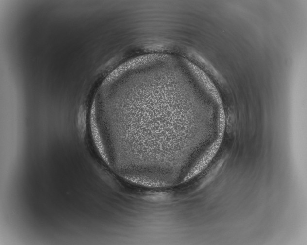 X0000101710454200807311455