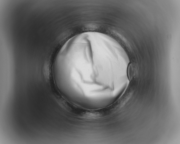 X0000101710455200807311455