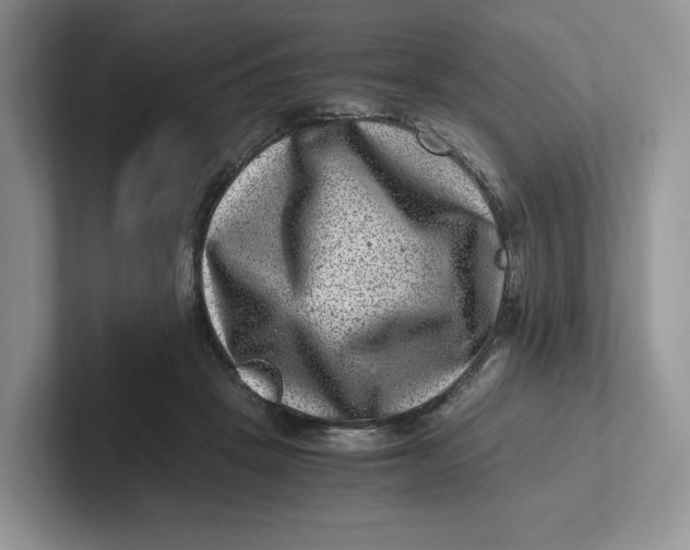 X0000101710457200807311455