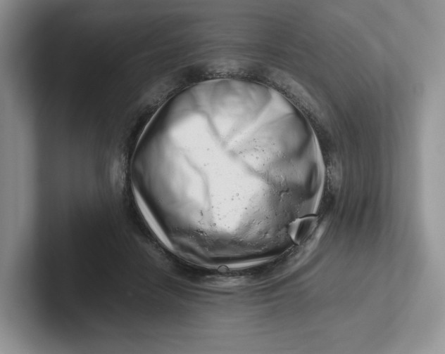 X0000101710458200807311455