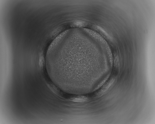 X0000101710459200807311455