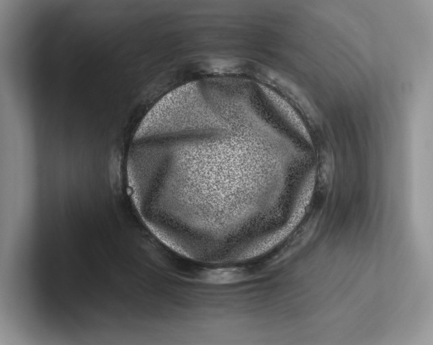 X0000101710461200807311455