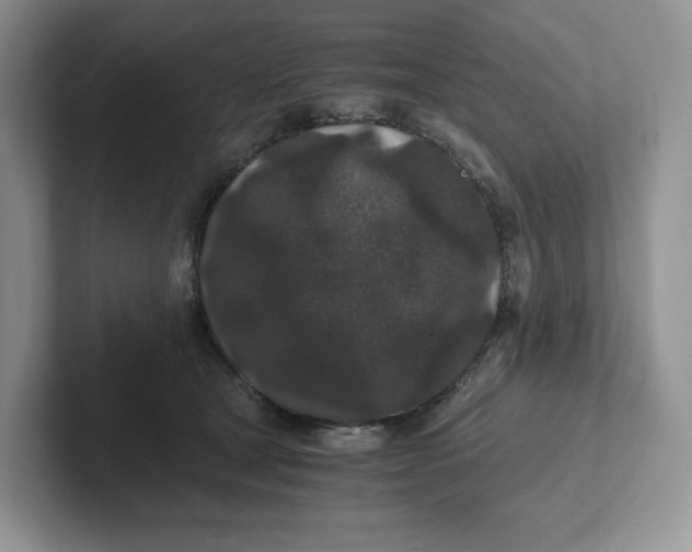 X0000101710465200807311455