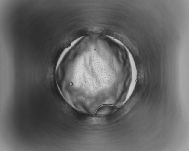 X0000101710466200807311455