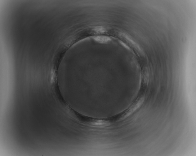 X0000101710467200807311455