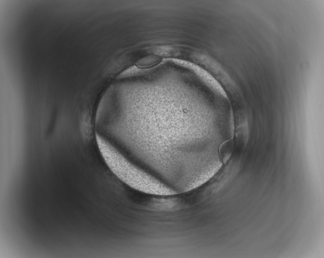 X0000101710469200807311455