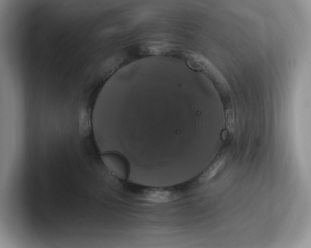 X0000101710471200807311455