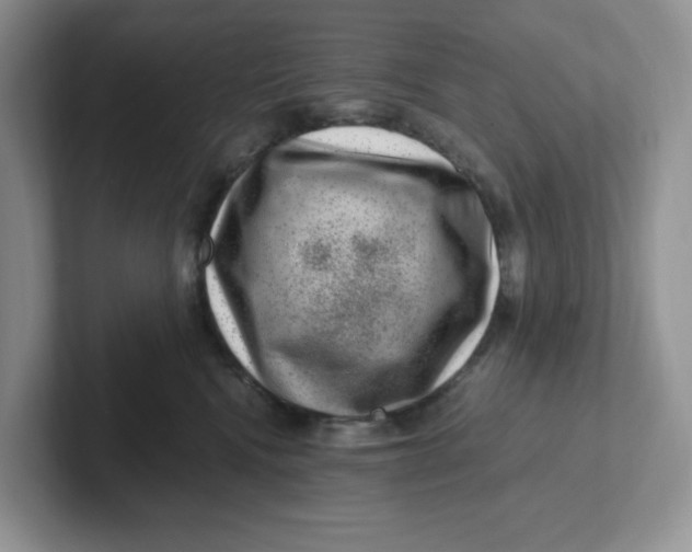 X0000101710472200807311455