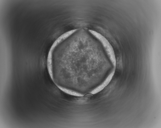 X0000101710474200807311455