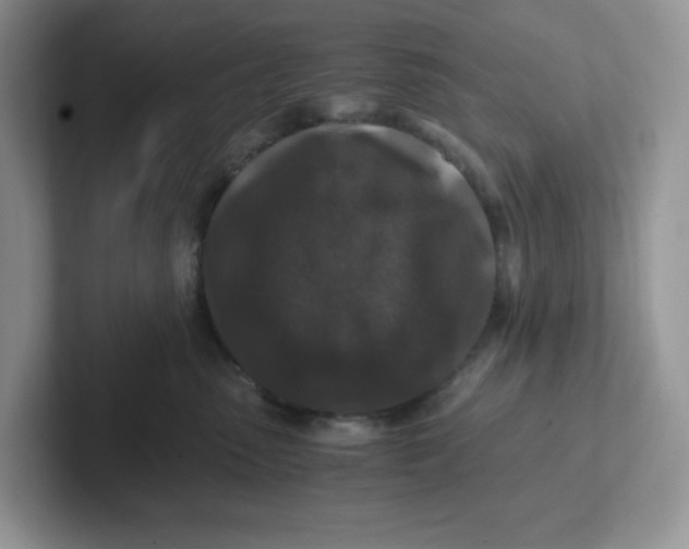 X0000101710475200807311455