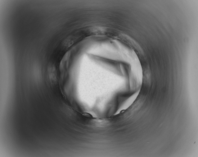 X0000101710477200807311455