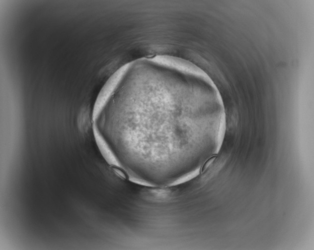 X0000101710478200807311455