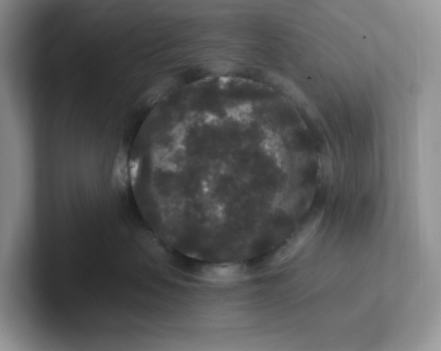 X0000101710479200807311455