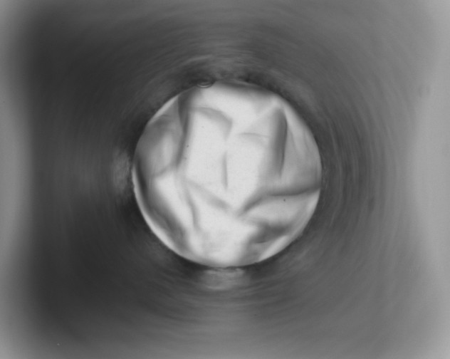 X0000101710480200807311455