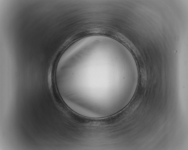 X0000101710482200807311455