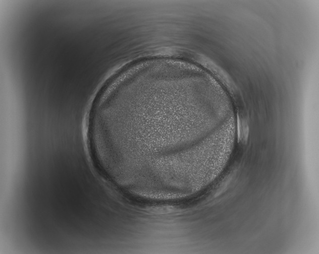 X0000101710483200807311455