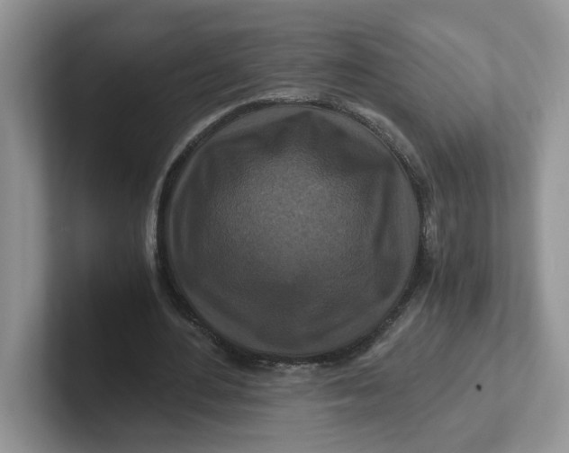 X0000101710484200807311455