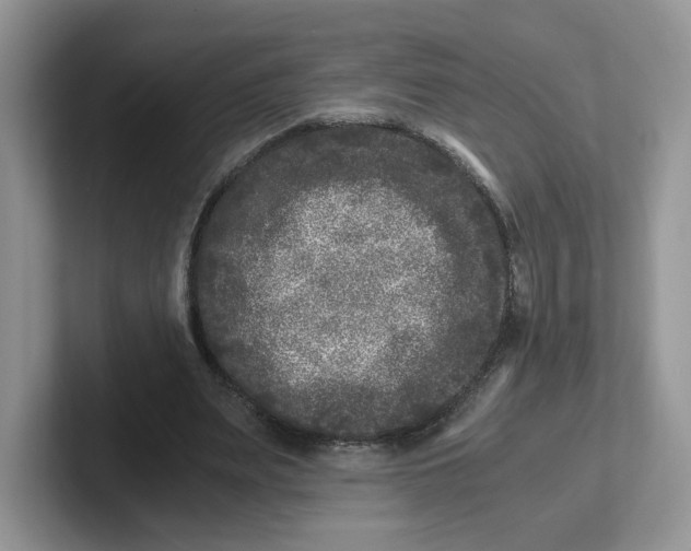 X0000101710487200807311455