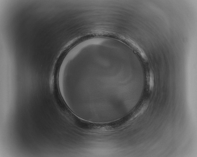 X0000101710488200807311455